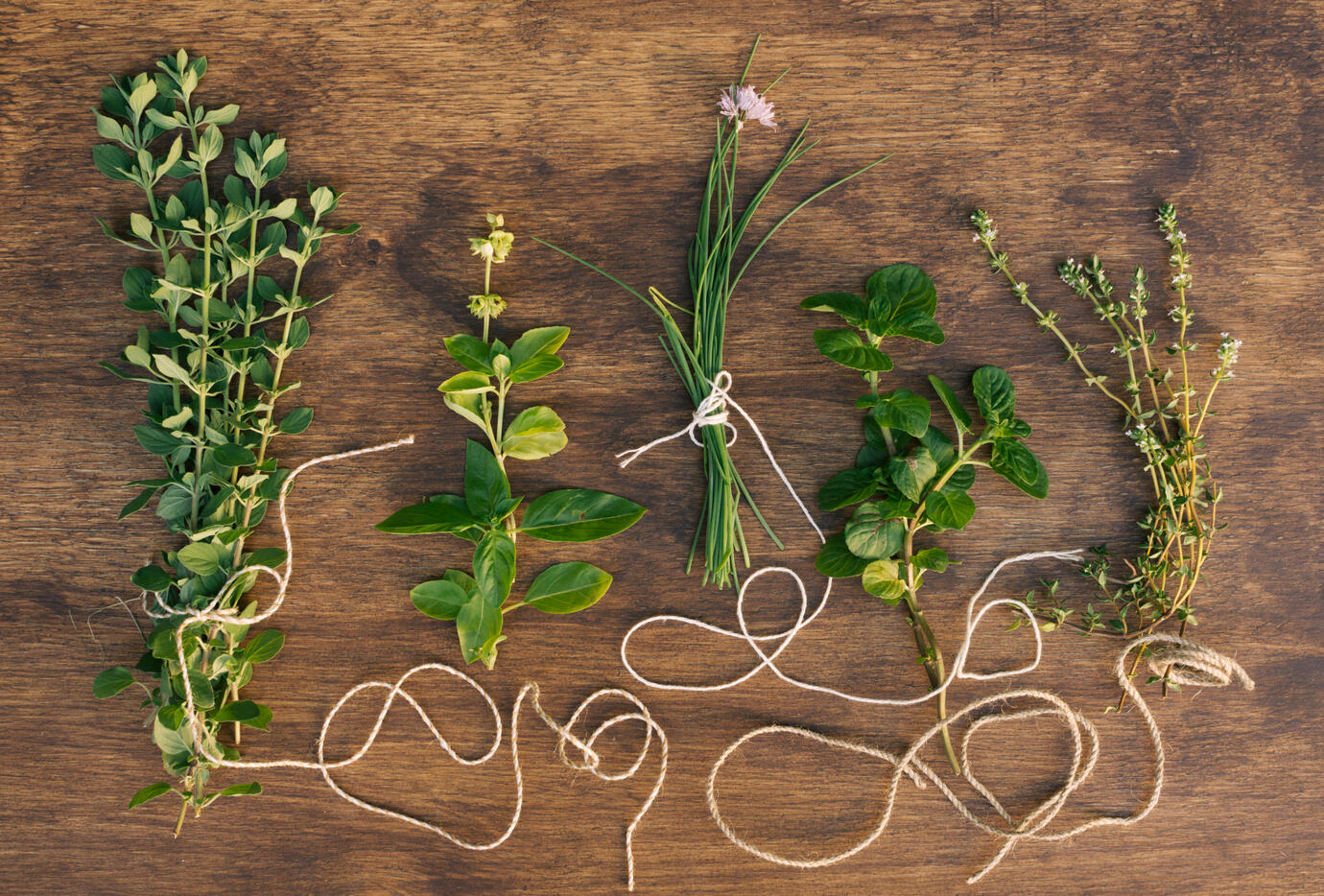 LAVONATURA tallow balm pure clean ingredients essential oils lavonatura botanical oils